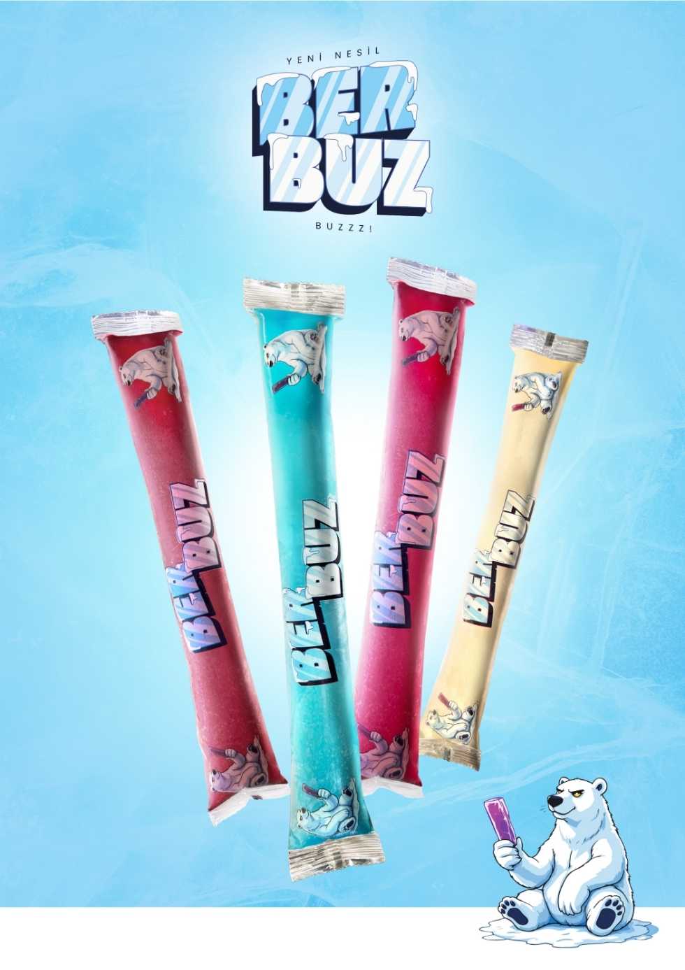 BER BUZ Katalog Sayfa 1