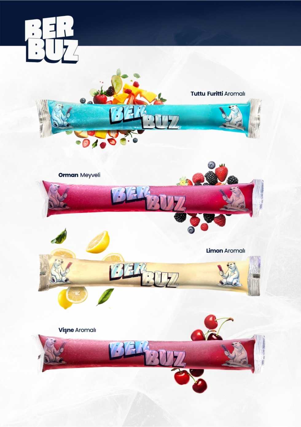 BER BUZ Katalog Sayfa 2